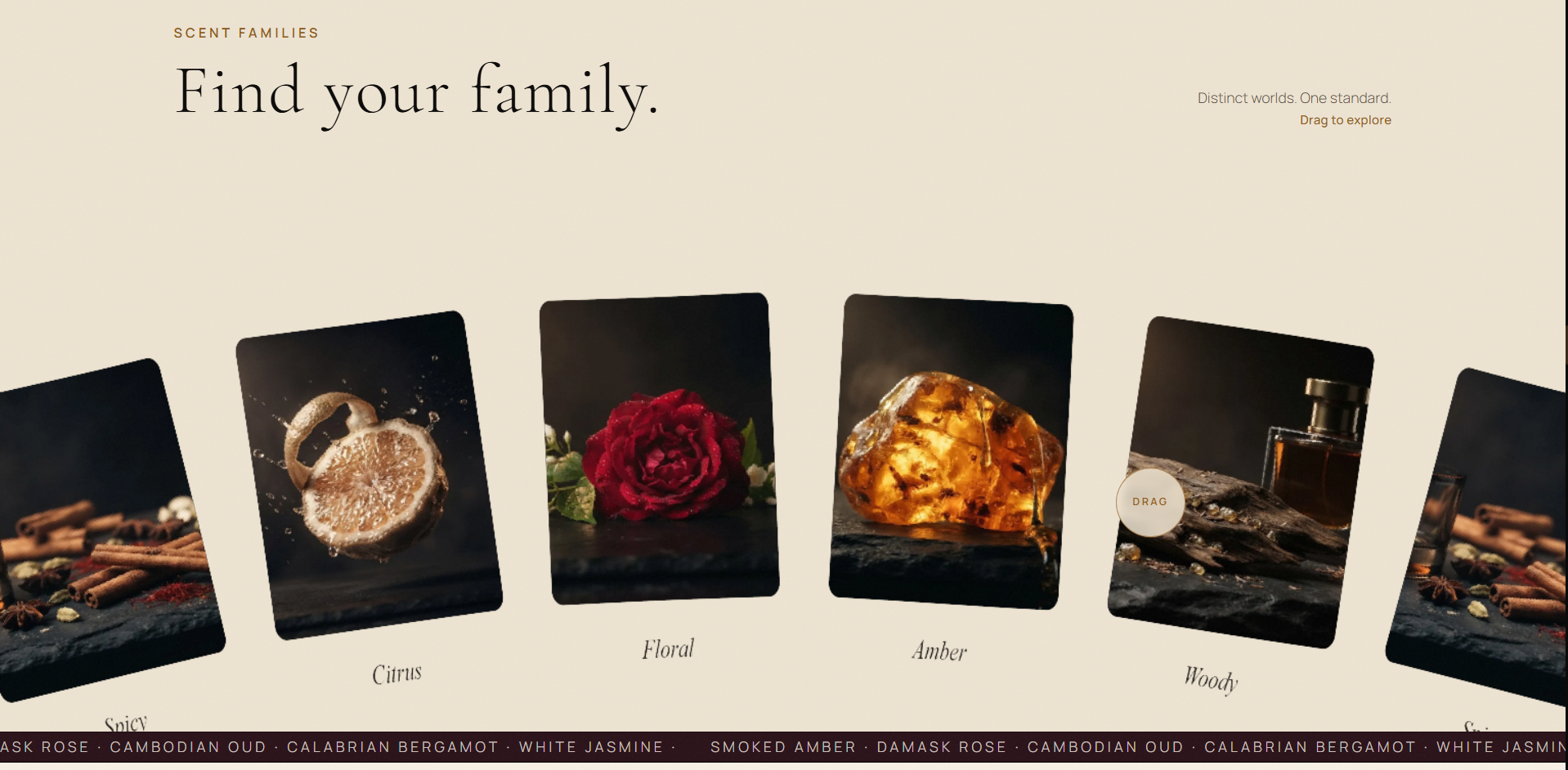 Nocturne scent families WebGL cylindrical gallery on desktop